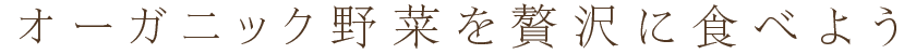 オーガニック野菜を贅沢に食べ放題